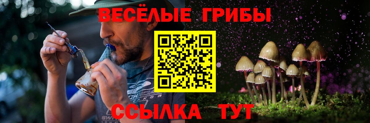 Чистополь  Псилоцибиновые грибы Magic Shrooms  Вход с VPN  Галлюциногенные грибы MAGIC MUSHROOMS 